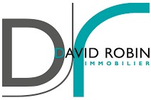 Logo du partenaire partner_david robin